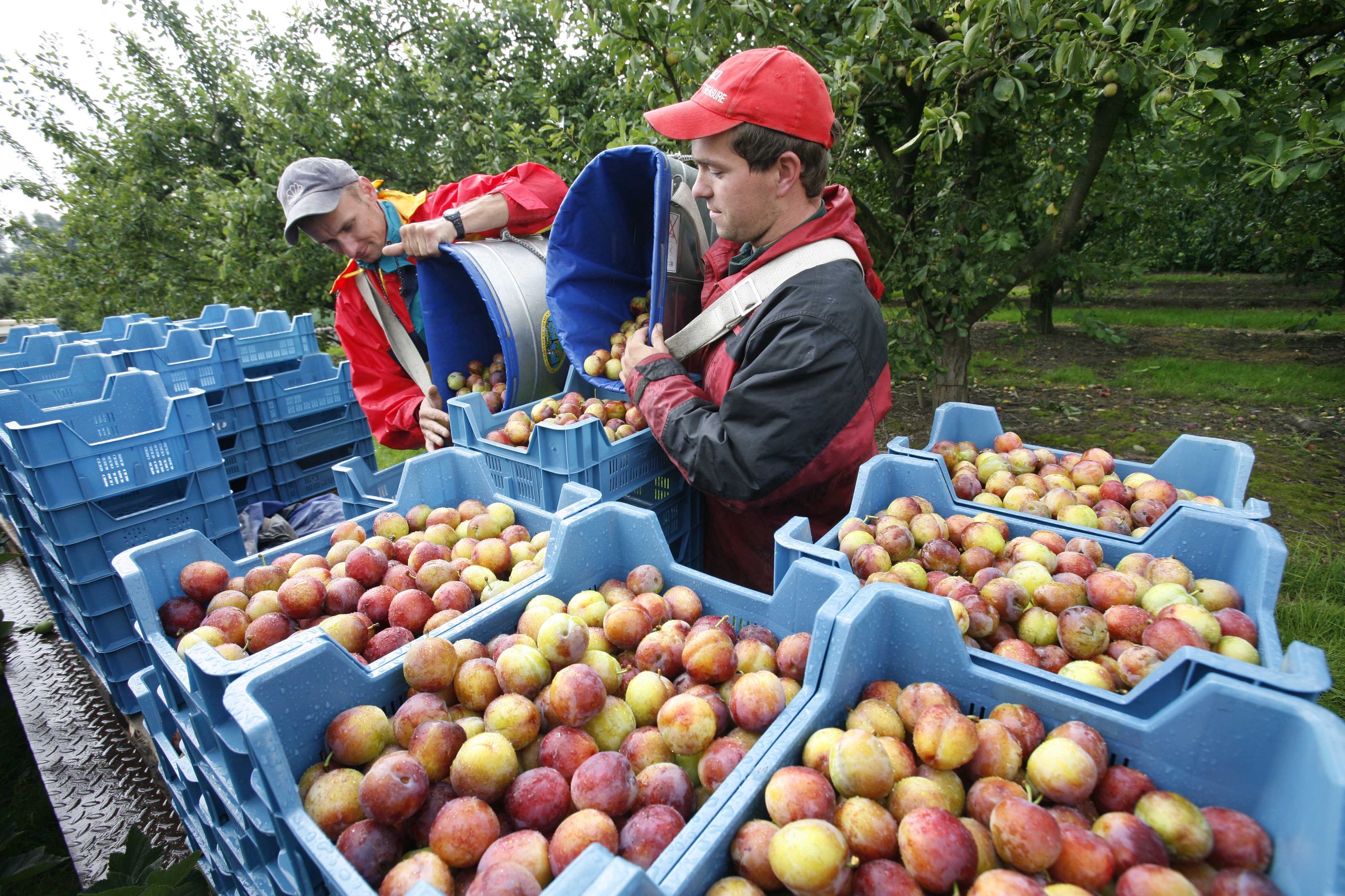 Franchise stijgt sneller dan lonen in veel sectoren Pensioen Pro